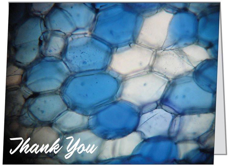 "Biology" - Thank You Card